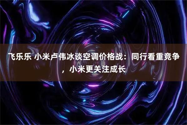 飞乐乐 小米卢伟冰谈空调价格战：同行看重竞争，小米更关注成长