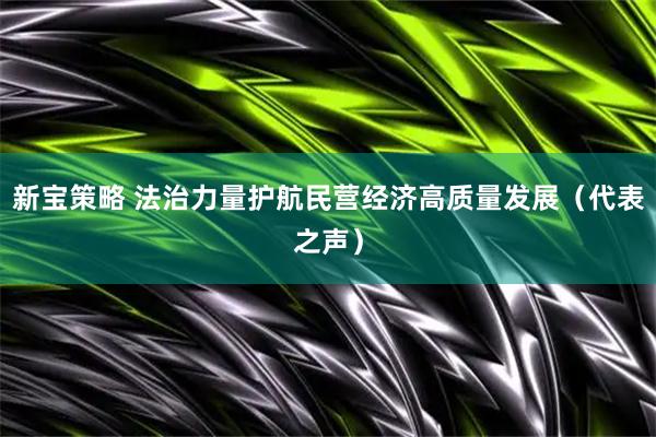 新宝策略 法治力量护航民营经济高质量发展（代表之声）