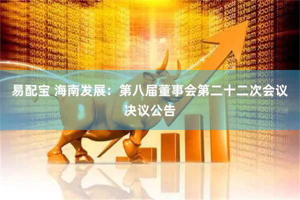易配宝 海南发展：第八届董事会第二十二次会议决议公告