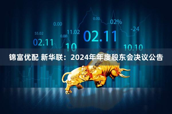 锦富优配 新华联：2024年年度股东会决议公告