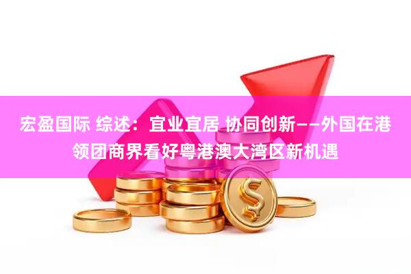 宏盈国际 综述：宜业宜居 协同创新——外国在港领团商界看好粤港澳大湾区新机遇