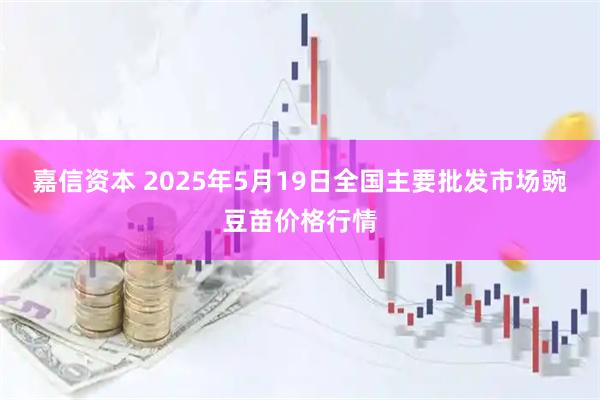 嘉信资本 2025年5月19日全国主要批发市场豌豆苗价格行情