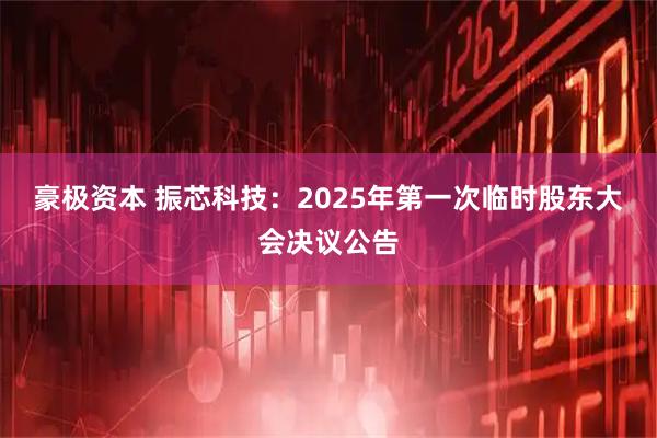 豪极资本 振芯科技：2025年第一次临时股东大会决议公告